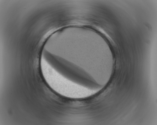 X0000113251459200910221111