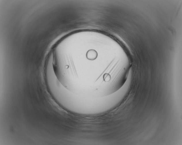 X0000113251460200910221111