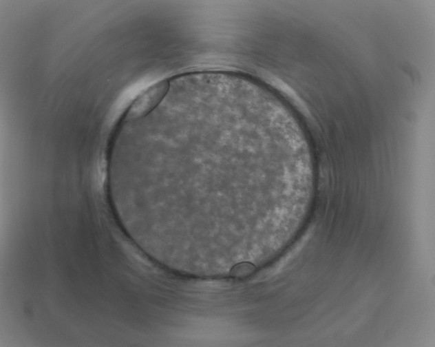 X0000113251461200910221111