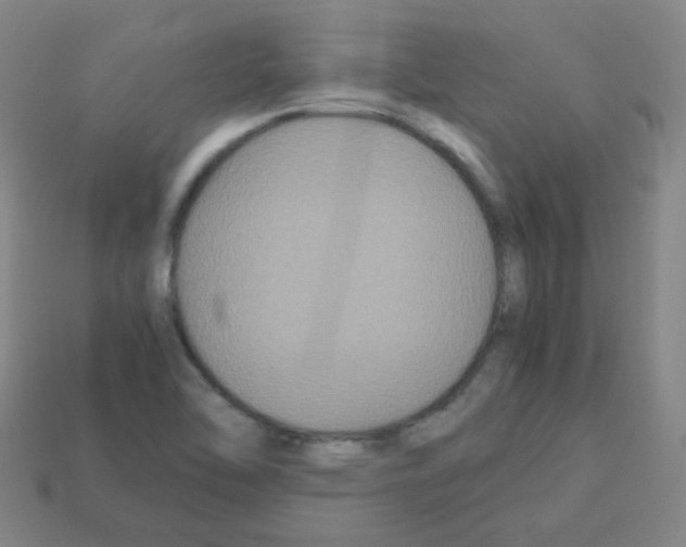 X0000113251462200910221111