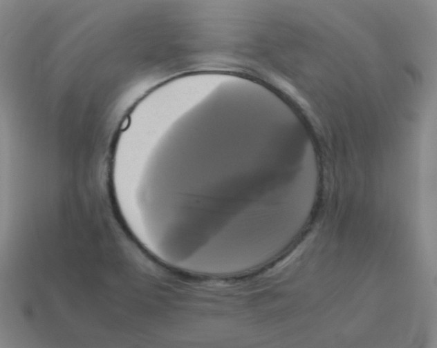 X0000113251463200910221111