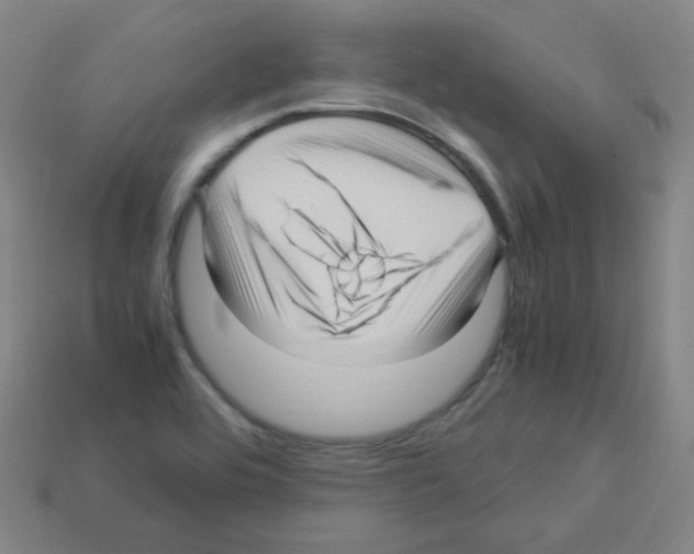 X0000113251464200910221111