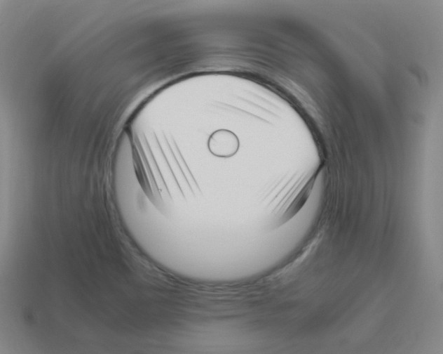 X0000113251465200910221111