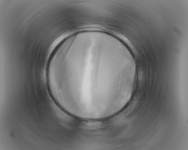 X0000113251466200910221111