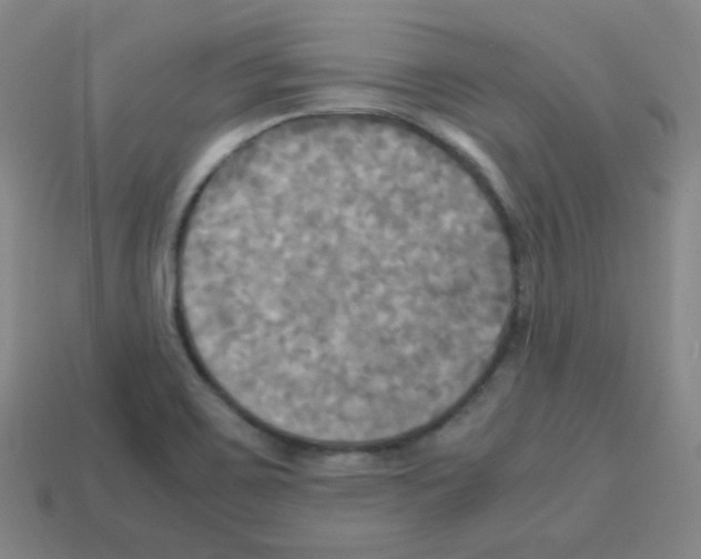 X0000113251467200910221111