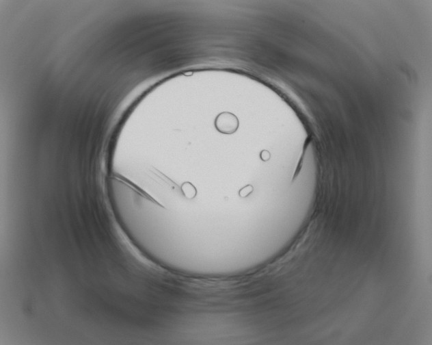 X0000113251468200910221111