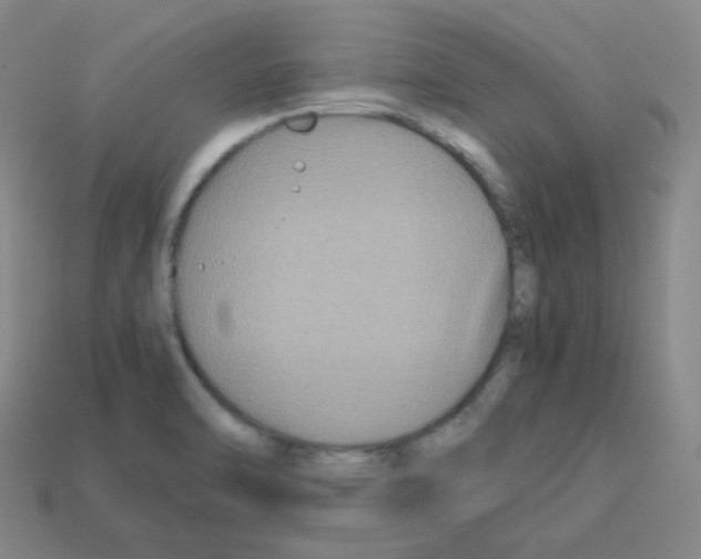 X0000113251470200910221111