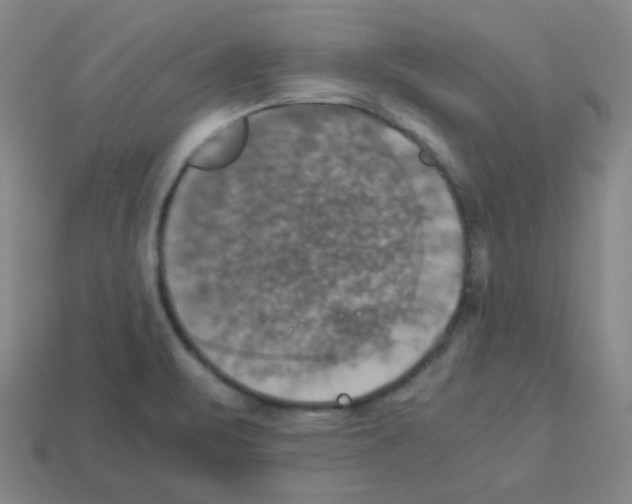 X0000113251471200910221111