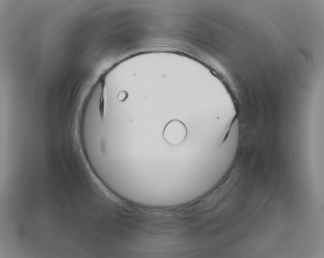 X0000113251472200910221111