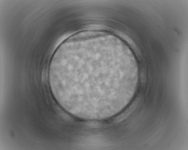 X0000113251473200910221111