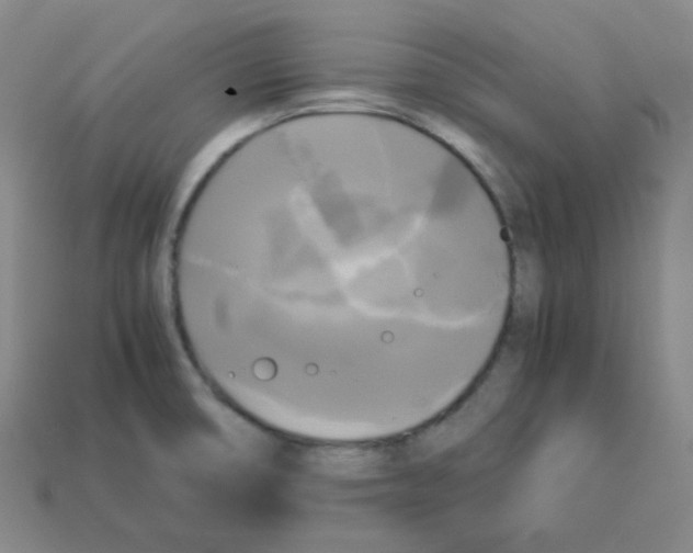 X0000113251474200910221111