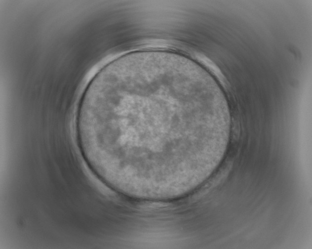 X0000113251475200910221111