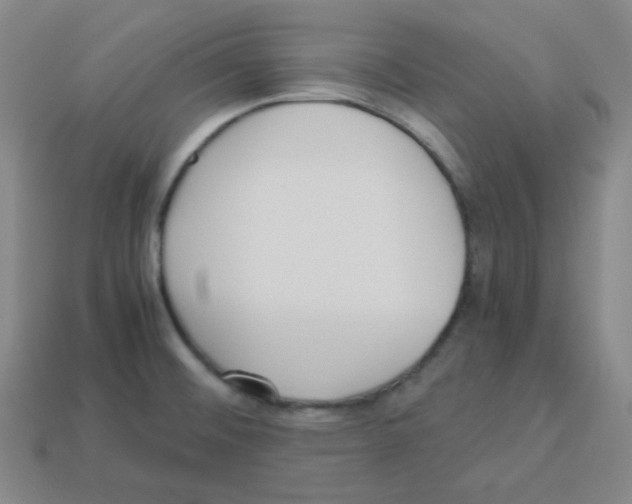 X0000113251476200910221111