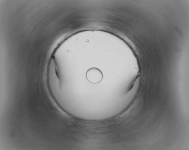 X0000113251477200910221111