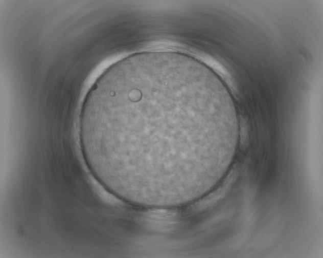 X0000113251478200910221111