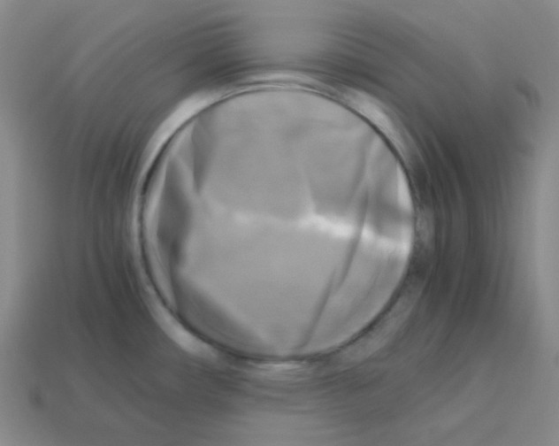 X0000113251482200910221111