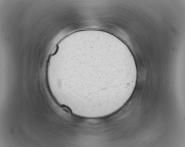 X0000113251483200910221111