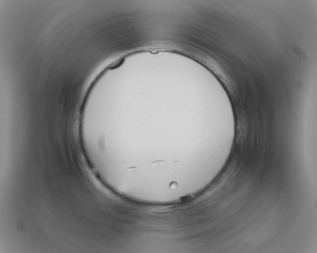 X0000113251484200910221111