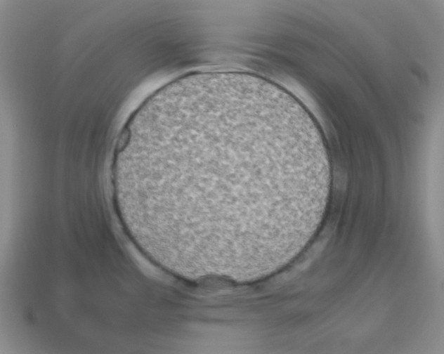 X0000113251485200910221111