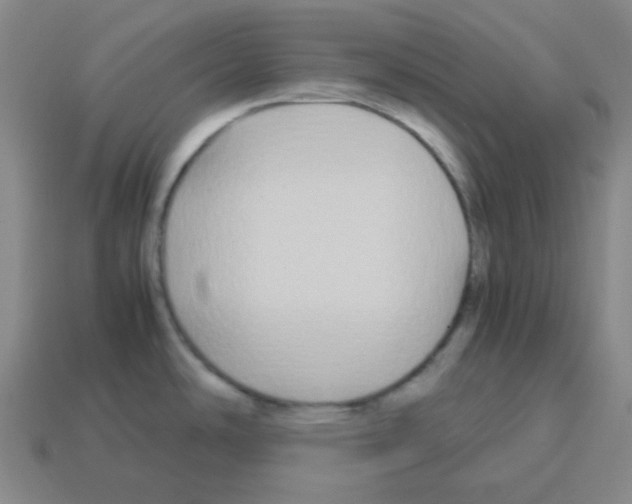 X0000113251486200910221111