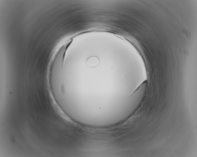 X0000113251488200910221111