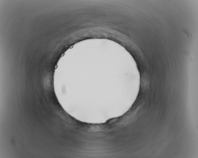 X0000113251490200910221110