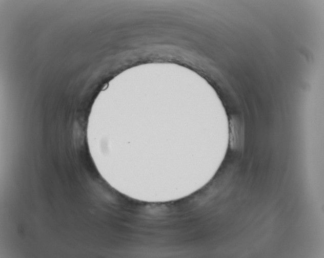 X0000113251491200910221110