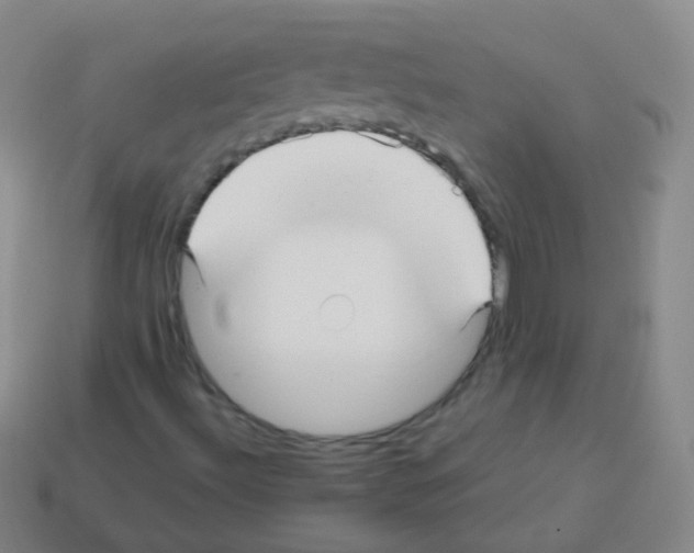 X0000113251492200910221110