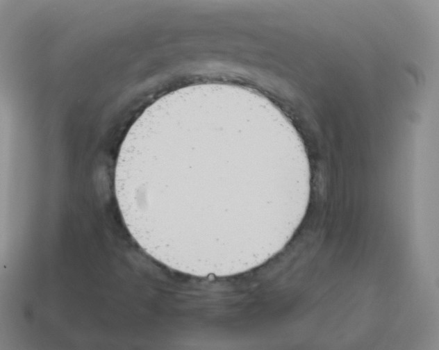 X0000113251493200910221110