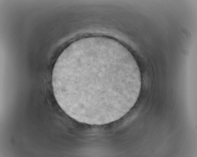 X0000113251494200910221110