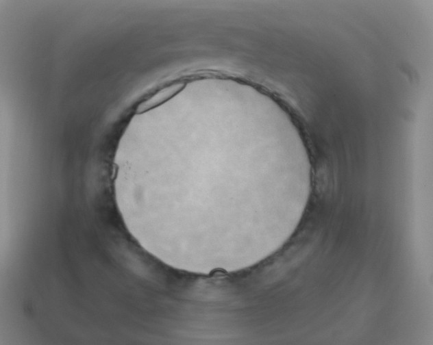 X0000113251496200910221110