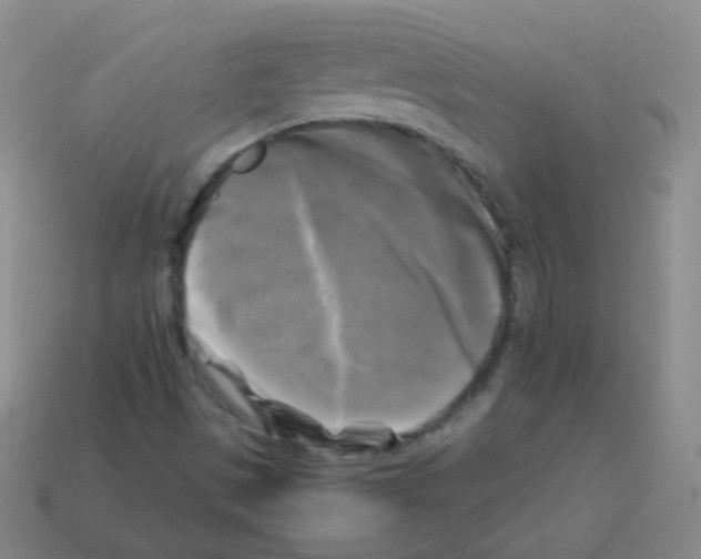 X0000113251497200910221110