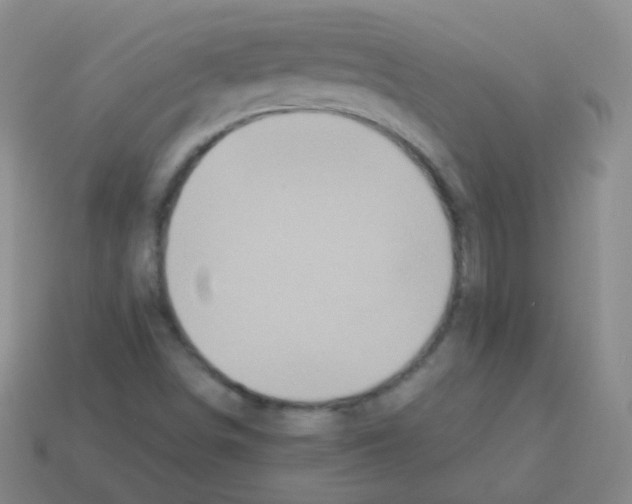 X0000113251498200910221110