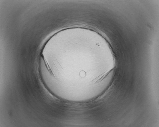 X0000113251500200910221110