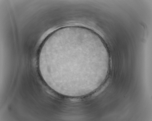 X0000113251501200910221110