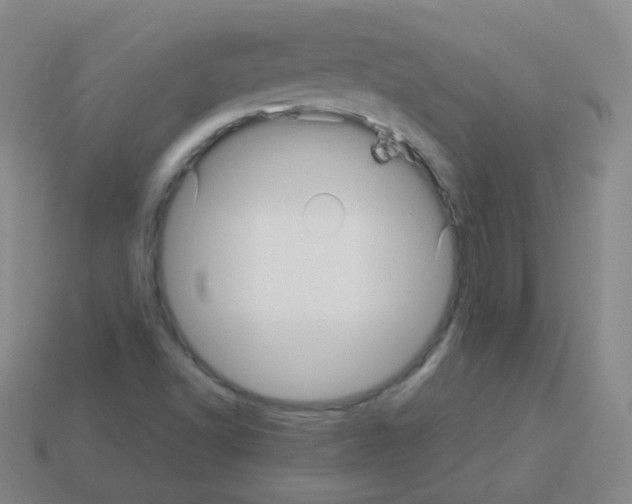 X0000113251502200910221110