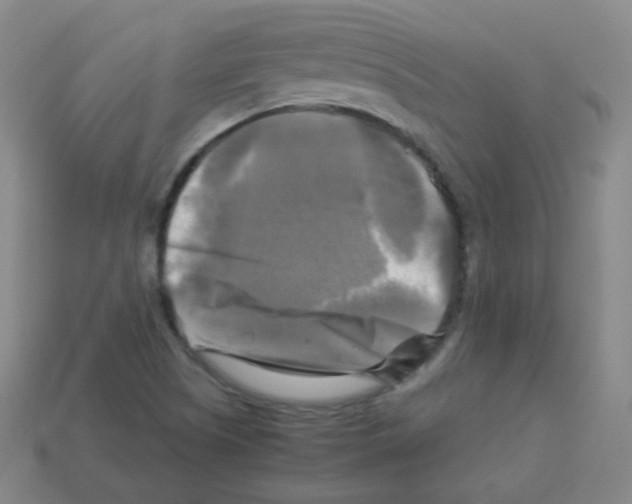 X0000113251505200910221110