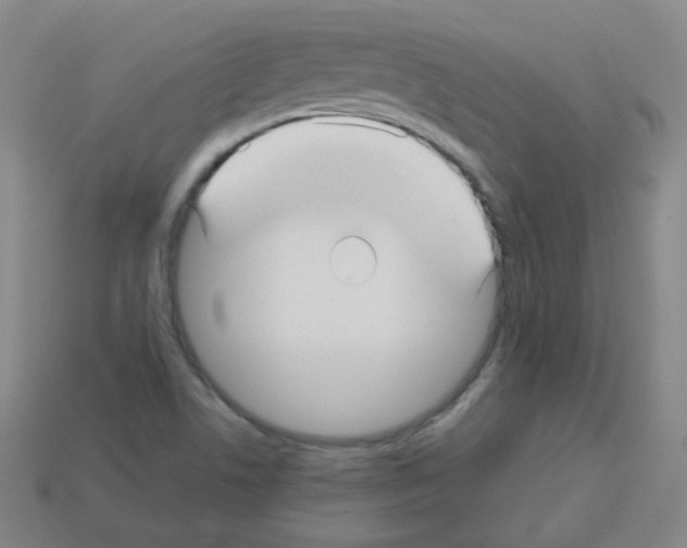 X0000113251506200910221110