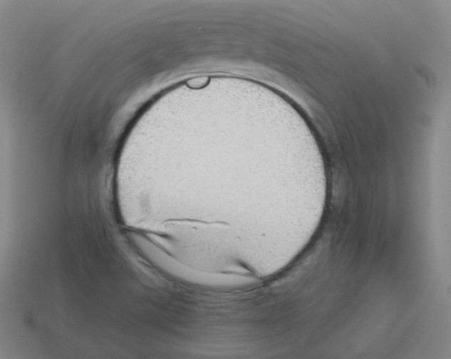 X0000113251507200910221110