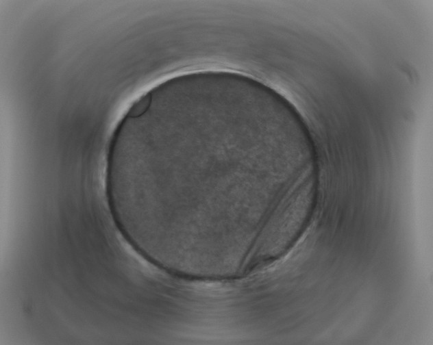 X0000113251508200910221110