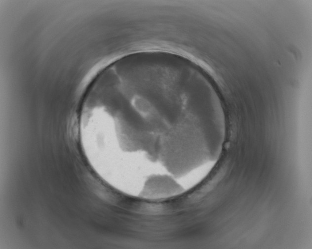 X0000113251509200910221110