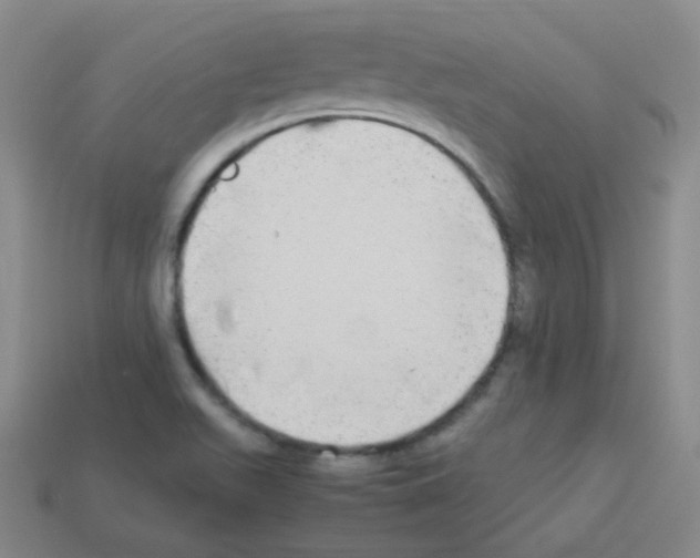 X0000113251511200910221110