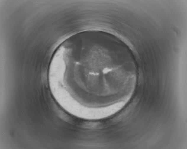 X0000113251513200910221110