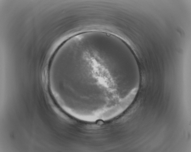 X0000113251515200910221110