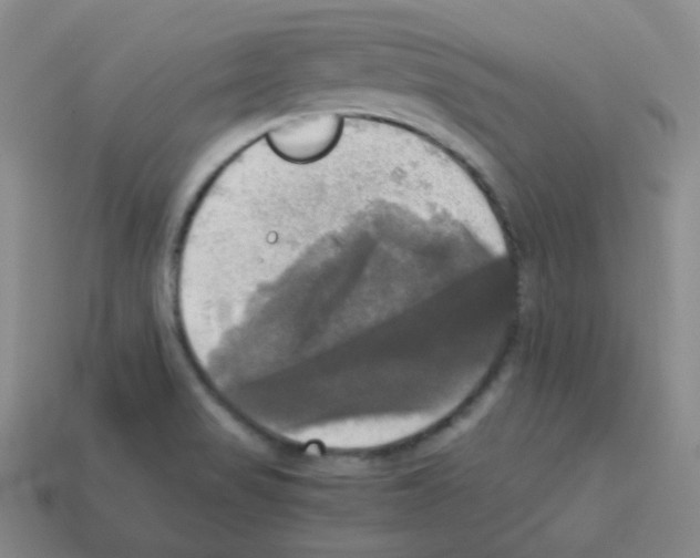 X0000113251517200910221111