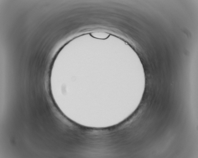 X0000113251518200910221111