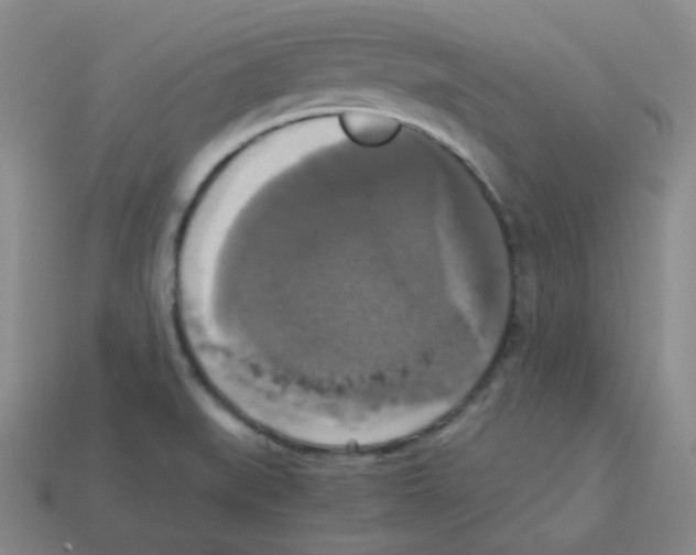 X0000113251519200910221111