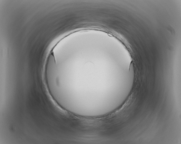 X0000113251520200910221111