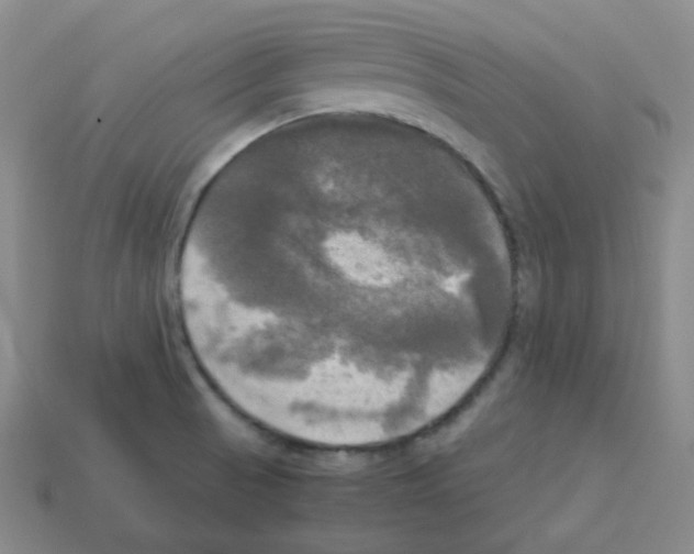 X0000113251521200910221111