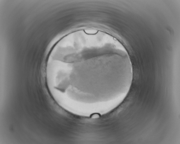 X0000113251522200910221111